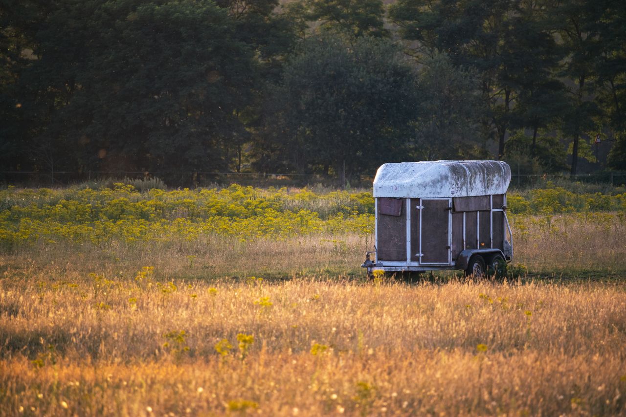 why-choose-us A scenic rural landscape featuring an abandoned trailer in a sunlit meadow.