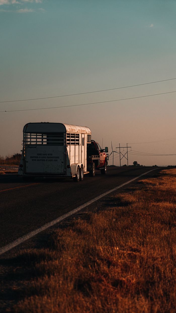 hero-img-02 A truck towing a horse trailer down a rural road during sunset, depicting serene travel.